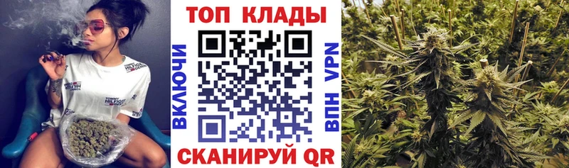 Купить наркоту Гагарин БУТИРАТ  Кокаин  МЕФ  LSD-25  ГАШИШ  А ПВП  Псилоцибиновые грибы 
