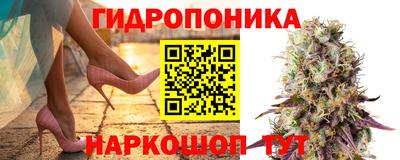 прущие крисы Бугуруслан