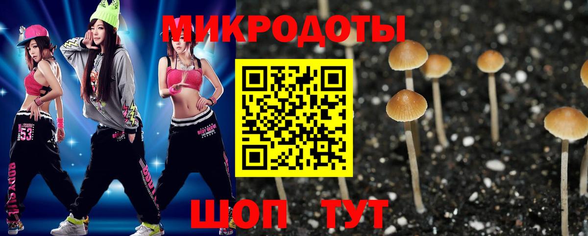 Псилоцибиновые грибы GOLDEN TEACHER  Вход с VPN  Гагарин 